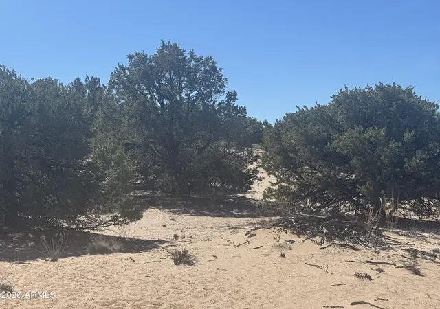 4th image of Lot 52 Witch Well Ranchos -- #52, St Johns, AZ 85936 | MLS# 7061349