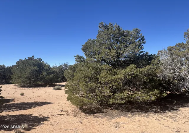 5th image of Lot 52 Witch Well Ranchos -- #52, St Johns, AZ 85936 | MLS# 7061349