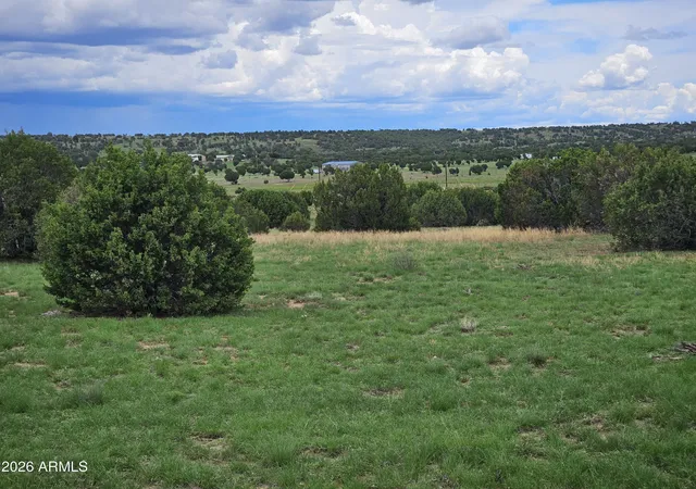 Photo 1 of Land for sale at Tbd Birdwing Ln, Clay Springs, AZ 85923 | MLS# 7061246 | Listing updated on 2026-09-01