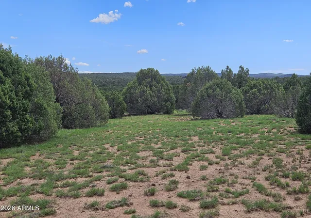 Photo 4 of Land for sale at Tbd Birdwing Ln, Clay Springs, AZ 85923 | MLS# 7061246 | Listing updated on 2026-09-01