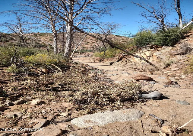 Photo 18 of Land for sale at Tbd E Ranch Crk Rd #D-3A, Globe, AZ 85501 | MLS# 7061709 | Listing updated on 2026-08-04