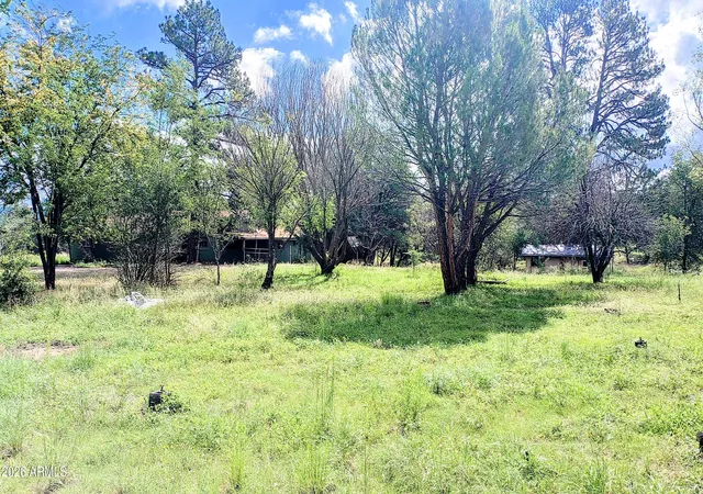 Photo 3 of Single family home for sale at 45985 N Az Hwy 288, Young, AZ 85554 | MLS# 7066754 | Listing updated on 2026-10-07