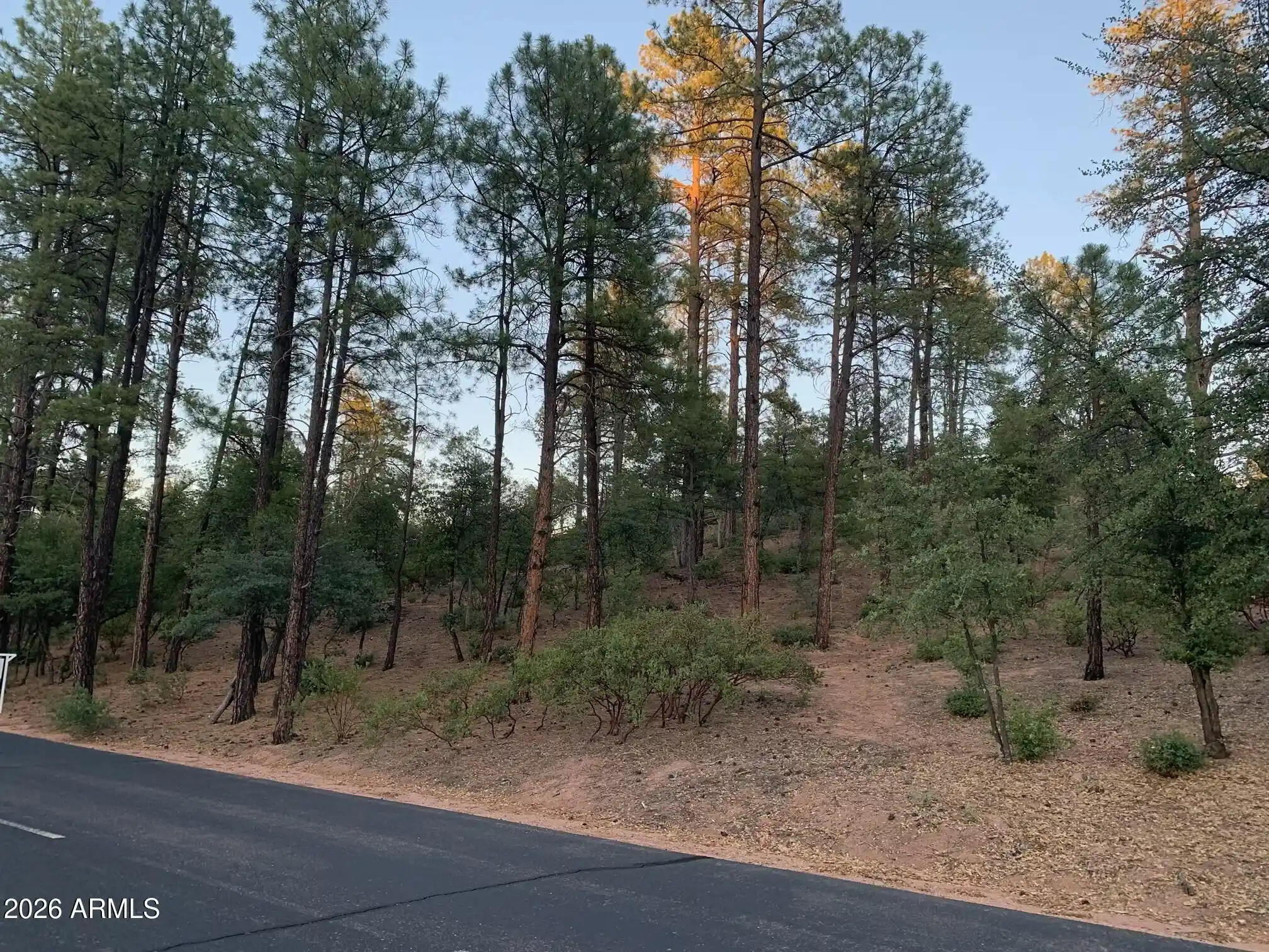 Photo 1 of Land for sale at 805 S Monument Valley Dr #166, Payson, AZ 85541 | MLS# 7082188 | Listing updated on 2026-09-18
