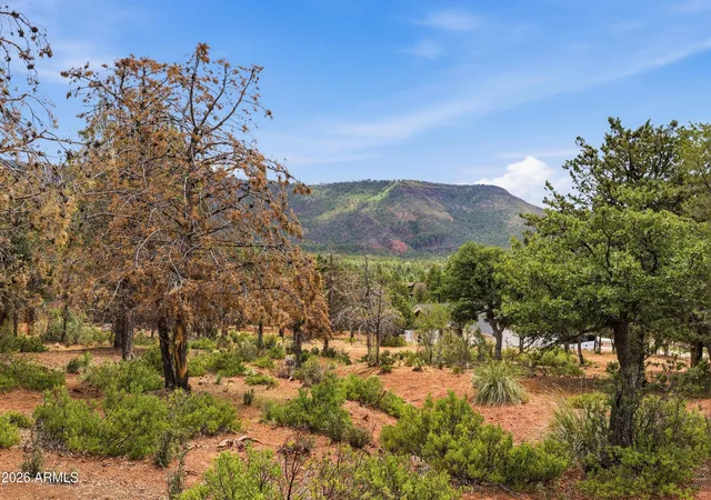 Photo 2 of Land for sale at 20 W Hidden Pines Loop #20, Pine, AZ 85544 | MLS# 7062566 | Listing updated on 2026-08-05