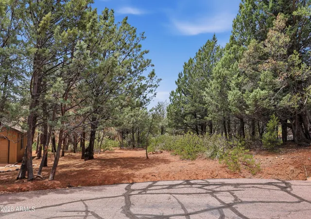 Photo 4 of Land for sale at 20 W Hidden Pines Loop #20, Pine, AZ 85544 | MLS# 7062566 | Listing updated on 2026-08-05