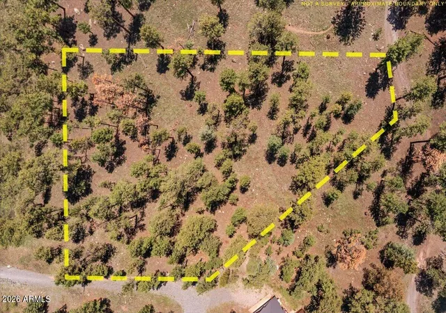 15th image of 14 County Road N1062 #15, Eagar, AZ 85925 | MLS# 7062117