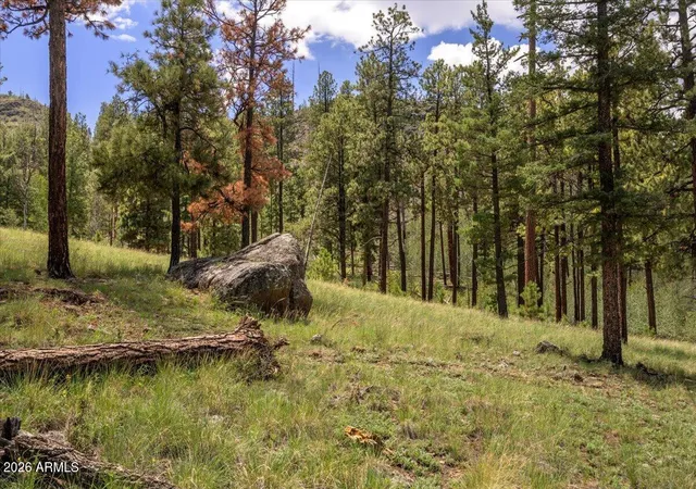 1st image of 14 County Road N1062 #15, Eagar, AZ 85925 | MLS# 7062117
