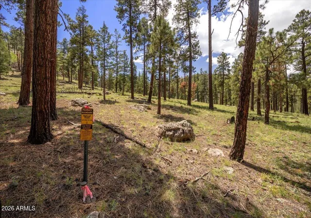 2nd image of 14 County Road N1062 #15, Eagar, AZ 85925 | MLS# 7062117