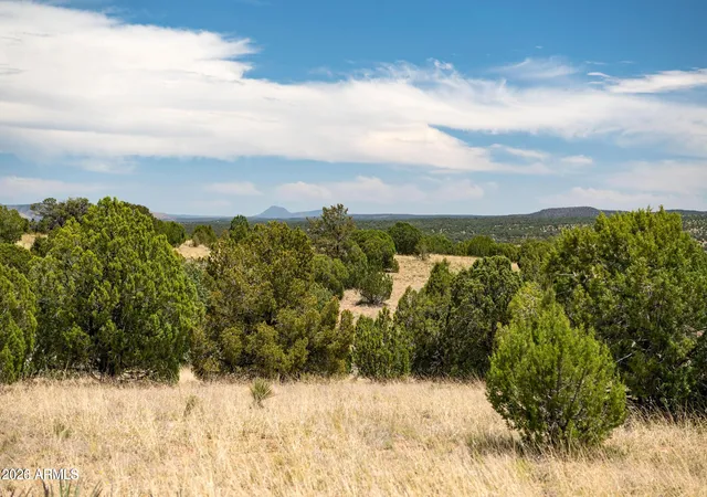 Photo 3 of Land for sale at 000 B Pine Ridge Trl Rd #50, Seligman, AZ 86337 | MLS# 7062464 | Listing updated on 2026-09-11
