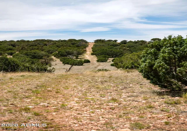 Photo 4 of Land for sale at 000-b Pine Ridge Trl Rd #50, Seligman, AZ 86337 | MLS# 7062464 | Listing updated on 2026-09-11