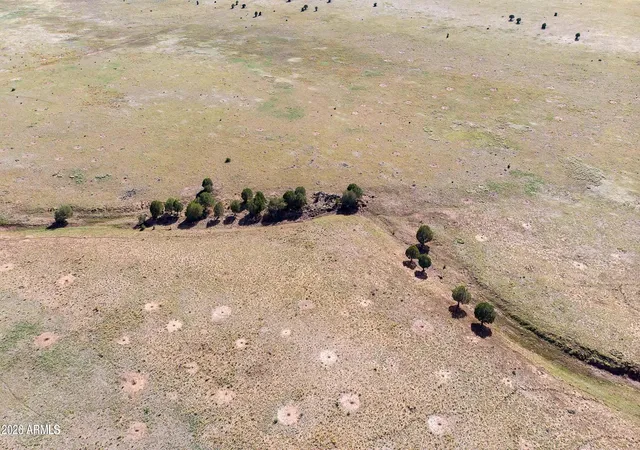 4th image of A1 Kirby Lane -- #A1, Ash Fork, AZ 86320 | MLS# 7062499