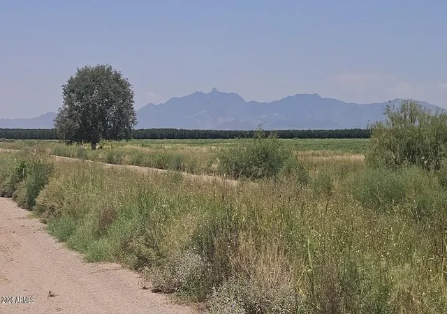 2nd image of 20 Acres S Robison Rd #5, Willcox, AZ 85643 | MLS# 7064824