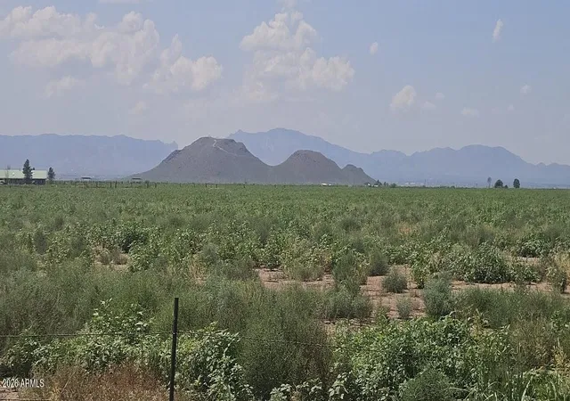 Photo 2 of Land for sale at 20 S Acres Robison Rd #5, Willcox, AZ 85643 | MLS# 7064824 | Listing updated on 2026-08-11