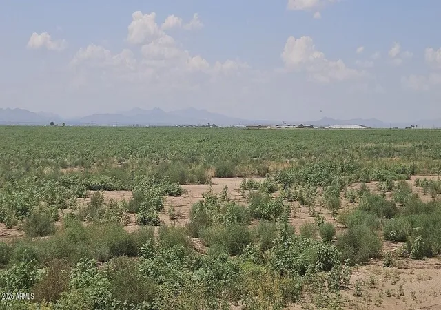 Photo 3 of Land for sale at 20 S Acres Robison Rd #5, Willcox, AZ 85643 | MLS# 7064824 | Listing updated on 2026-08-11
