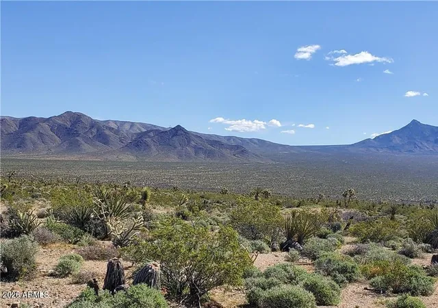 Photo 4 of Land for sale at 21001 Gods Pocket Dr, Meadview, AZ 86444 | MLS# 7062658 | Listing updated on 2026-09-29