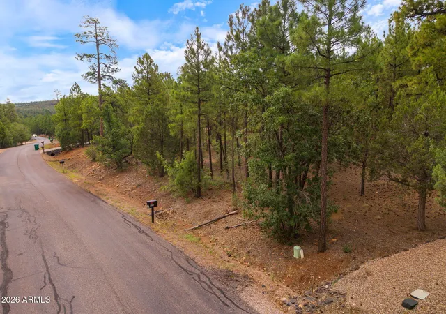 17th image of 3251 W Sage Ln #203, Show Low, AZ 85901 | MLS# 7062804