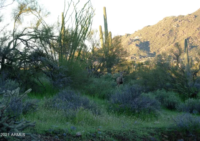 Photo 3 of Land for sale at 7960 Rising Sun Rd, Carefree, AZ 85377 | MLS# 7062900 | Listing updated on 2026-08-06