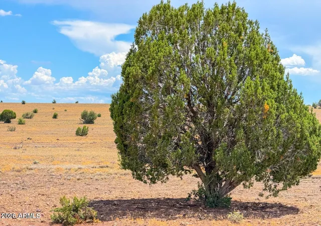 Photo 4 of Sale Pending at 215 Gleed Sta Rd Lot B 10 Acre, Ash Fork, AZ 86320 | MLS# 7062971 | Listing updated on 2026-08-18