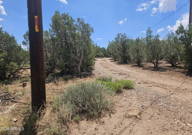 3rd image of 3981 Apache Rd, Snowflake, AZ 85937 | MLS# 7063340