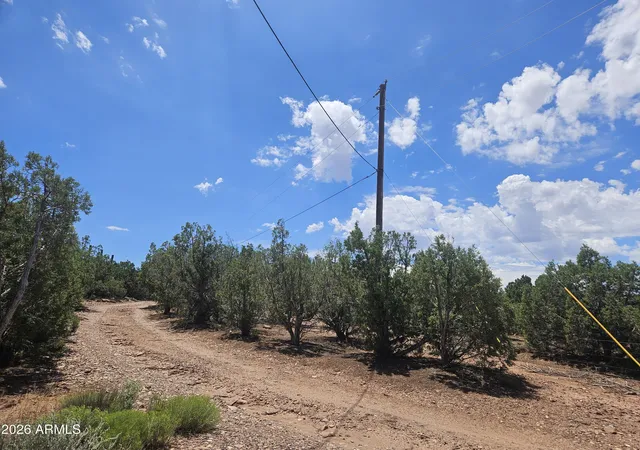 4th image of 3981 Apache Rd, Snowflake, AZ 85937 | MLS# 7063340