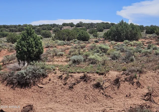5th image of 3981 Apache Rd, Snowflake, AZ 85937 | MLS# 7063340