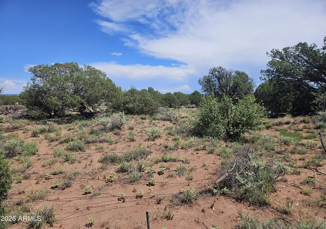 6th image of 3981 Apache Rd, Snowflake, AZ 85937 | MLS# 7063340