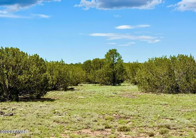 17th image of 121, 125, 127 & 129 Co Rd 8051 414 Acre, Concho, AZ 85924 | MLS# 7063034