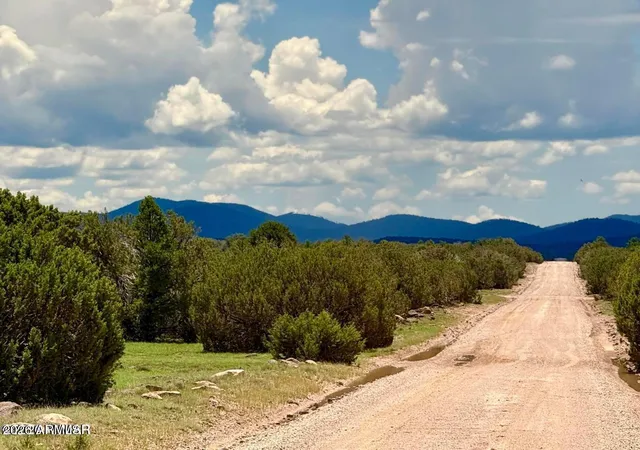 1st image of 121, 125, 127 & 129 Co Rd 8051 414 Acre, Concho, AZ 85924 | MLS# 7063034