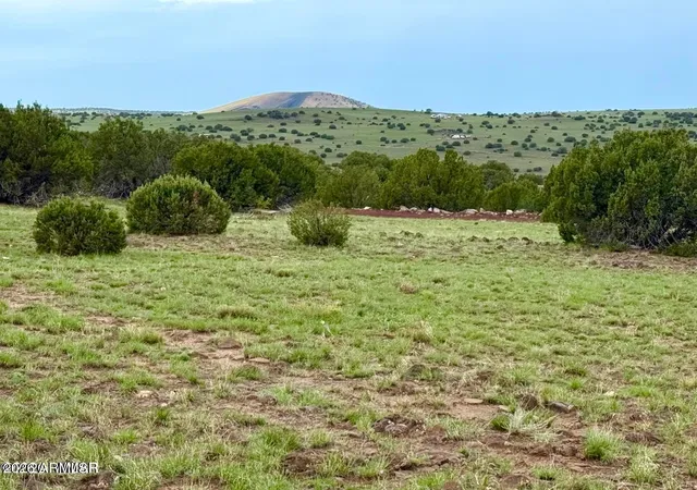 2nd image of 121, 125, 127 & 129 Co Rd 8051 414 Acre, Concho, AZ 85924 | MLS# 7063034