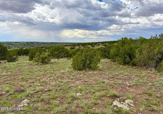 4th image of 121, 125, 127 & 129 Co Rd 8051 414 Acre --, Concho, AZ 85924 | MLS# 7063034