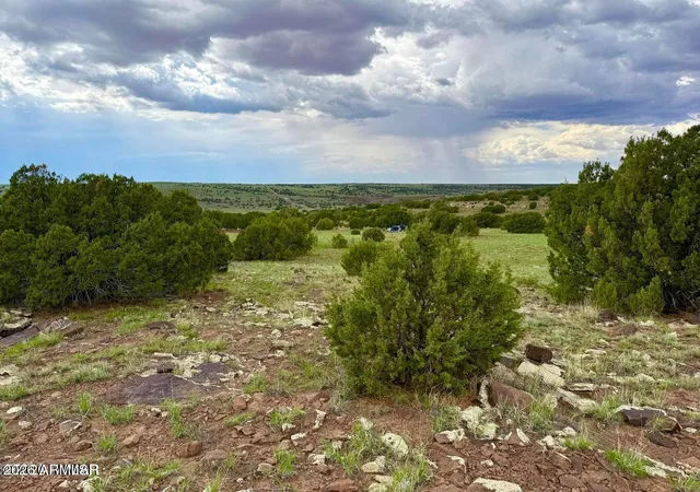5th image of 121, 125, 127 & 129 Co Rd 8051 414 Acre --, Concho, AZ 85924 | MLS# 7063034