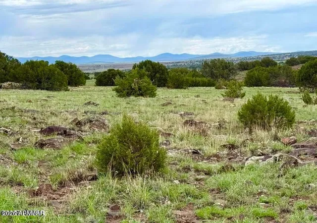 1st image of 85 Co Rd 8128 Lots 100, 101 & 108 333, Concho, AZ 85924 | MLS# 7063039