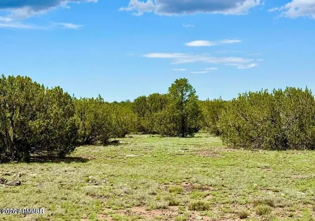 2nd image of 85 Co Rd 8128 Lots 100, 101 & 108 333, Concho, AZ 85924 | MLS# 7063039