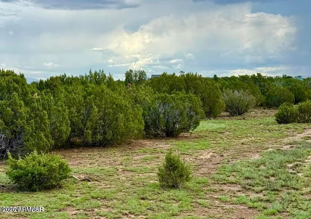 3rd image of 85 Co Rd 8128 Lots 100, 101 & 108 333 --, Concho, AZ 85924 | MLS# 7063039