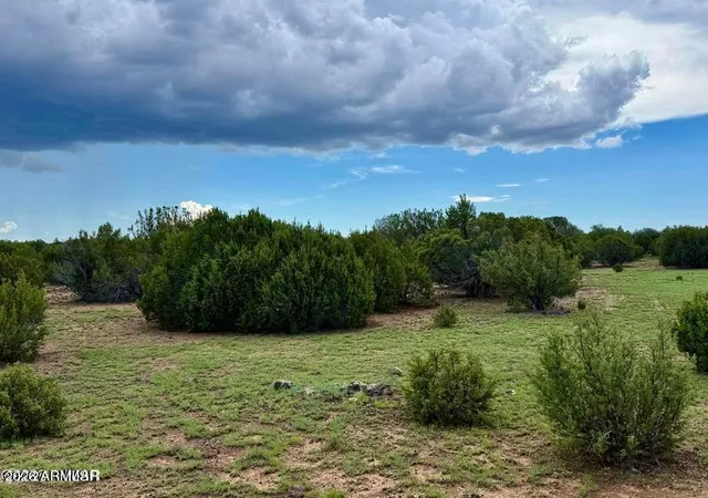 4th image of 85 Co Rd 8128 Lots 100, 101 & 108 333 --, Concho, AZ 85924 | MLS# 7063039