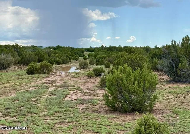5th image of 85 Co Rd 8128 Lots 100, 101 & 108 333 --, Concho, AZ 85924 | MLS# 7063039