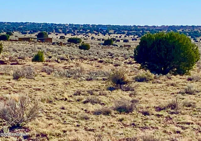 16th image of Riv Meadows Ranch Unit 3 Lot 204, Concho, AZ 85924 | MLS# 7063040