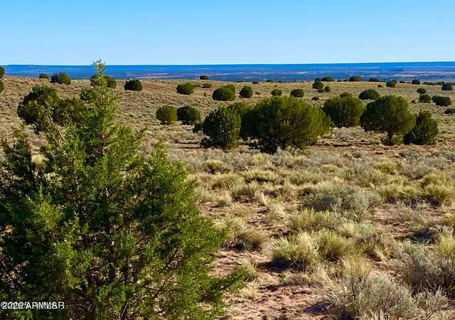 1st image of Riv Meadows Ranch Unit 3 Lot 204, Concho, AZ 85924 | MLS# 7063040