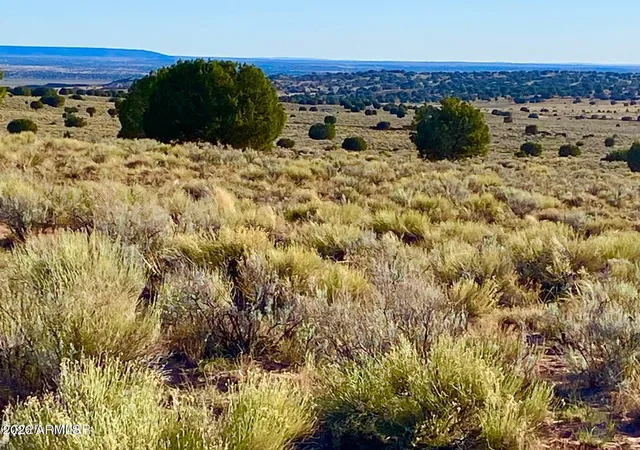 2nd image of Riv Meadows Ranch Unit 3 Lot 204, Concho, AZ 85924 | MLS# 7063040