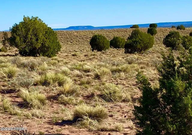 Photo 3 of Land for sale at River Meadows Ranch Unit 3 Lot 204, Concho, AZ 85924 | MLS# 7063040 | Listing updated on 2026-08-06