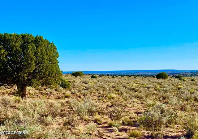 Photo 3 of Land for sale at River Meadows Ranch Unit 3 Lot 204, Concho, AZ 85924 | MLS# 7063040 | Listing updated on 2026-08-06