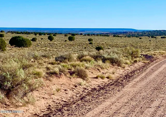 Photo 4 of Land for sale at River Meadows Ranch Unit 3 Lot 204, Concho, AZ 85924 | MLS# 7063040 | Listing updated on 2026-08-06