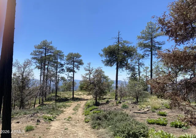 Photo 3 of Land for sale at 1002 S Turkey Trot Trl, Prescott, AZ 86303 | MLS# 7063125 | Listing updated on 2026-09-16
