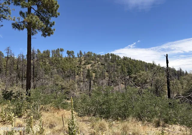 Photo 4 of Land for sale at 1002 S Turkey Trot Trl, Prescott, AZ 86303 | MLS# 7063125 | Listing updated on 2026-09-16