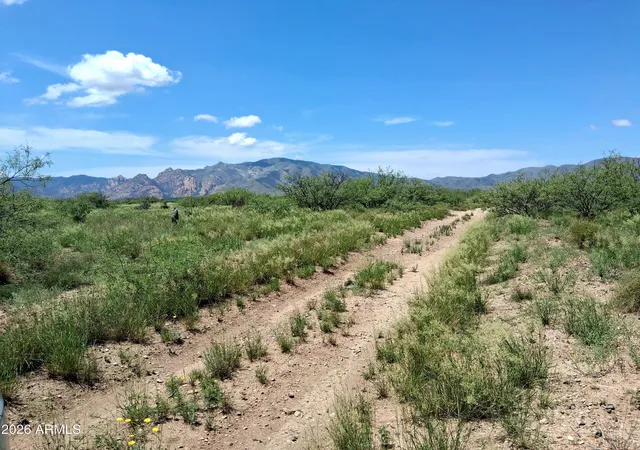 1st image of Lot 10 Oracle #10, Cochise, AZ 85606 | MLS# 7063274