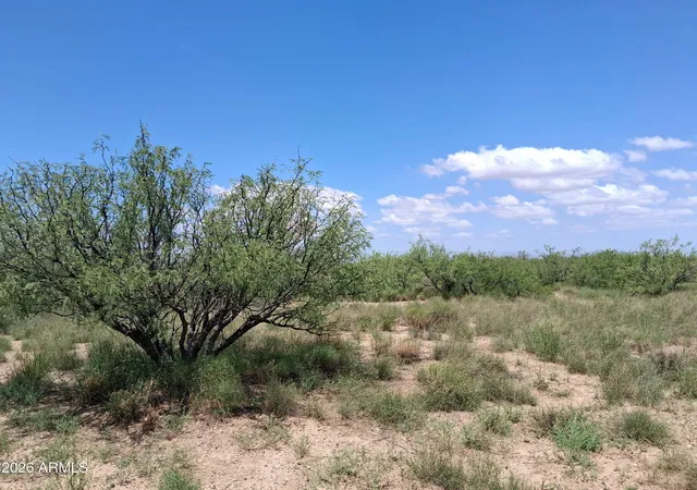 2nd image of Lot 10 Oracle #10, Cochise, AZ 85606 | MLS# 7063274