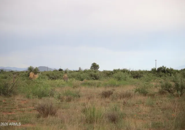 3rd image of Tbd S Arzberger Rd, Willcox, AZ 85643 | MLS# 7063532