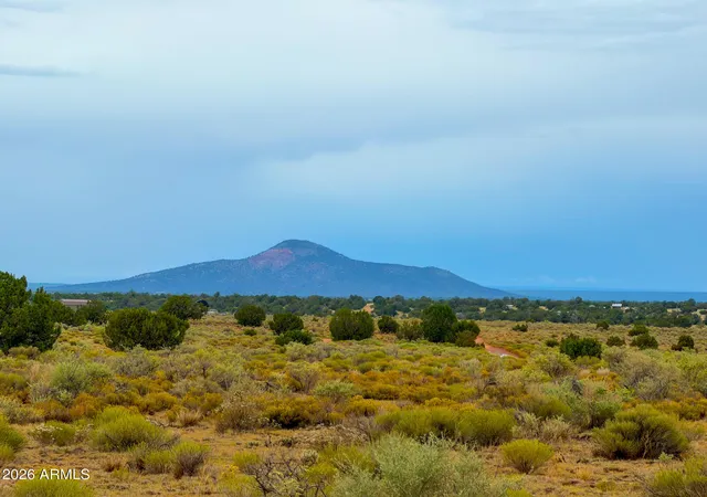 Photo 1 of Land for sale at 2028 S Avondale Rd #142, Williams, AZ 86046 | MLS# 7067294 | Listing updated on 2026-08-15