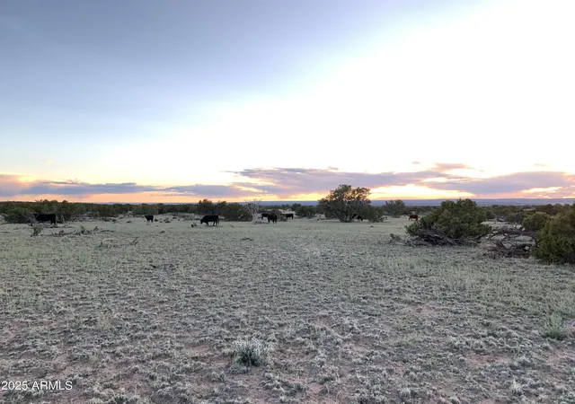 25th image of 9 N7340 #14, St Johns, AZ 85936 | MLS# 7064020