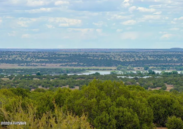 Photo 1 of Land for sale at 8087 Mustang Ln 20 Acres, Show Low, AZ 85901 | MLS# 7064162 | Listing updated on 2026-09-05